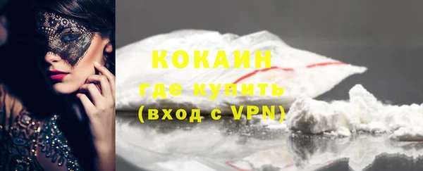 твердый Козловка