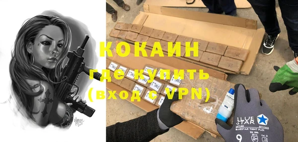 твердый Козловка