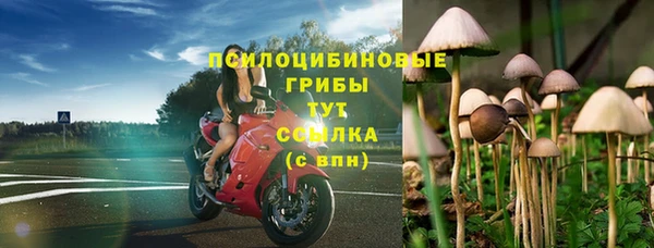 МДПВ Кодинск