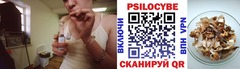 Купить закладки  Реж  Псилоцибиновые грибы Magic Shrooms 
